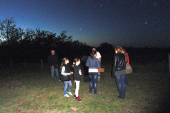 dsc04226.jpg