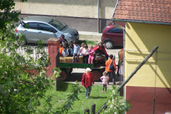 ovinap-005.jpg