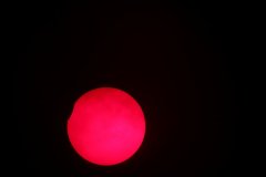 IMG_4304.JPG