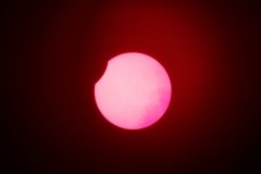 IMG_4328.JPG