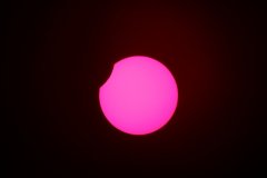 IMG_4335.JPG